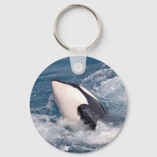 Killer whale keychain