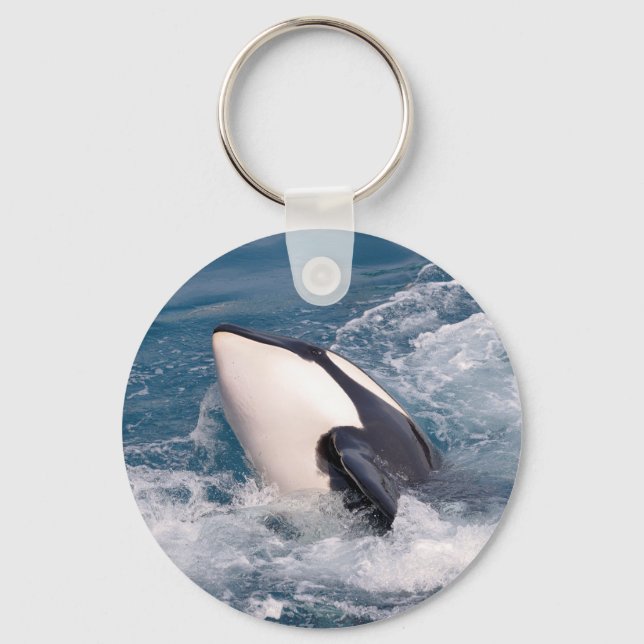 Killer whale keychain (Front)