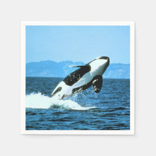 Killer Whale Napkin
