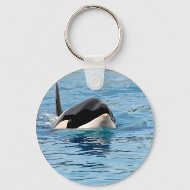 Killer whale swimming keychain (Front)