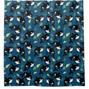 Killer Whale The Other Dolphin