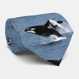 killer whale tie