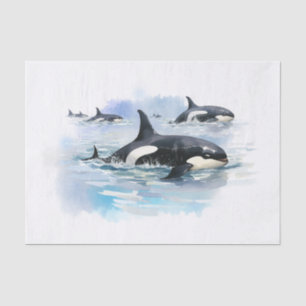 Killer Whale Tissue Paper