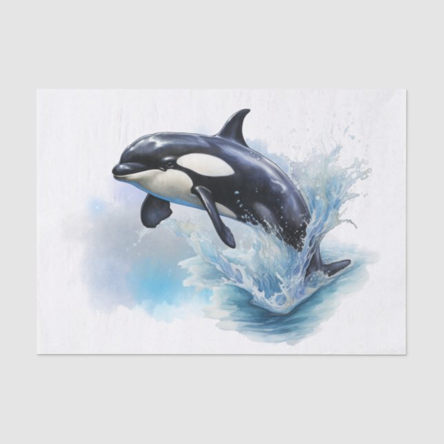 Killer Whale Tissue Paper (Front)