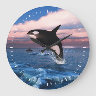 Killer whales in the Arctic Ocean Large Clock
