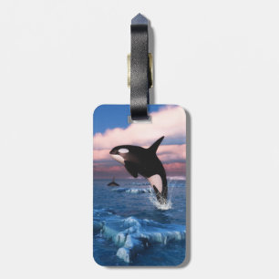 Killer Whales In The Arctic Ocean Luggage Tag