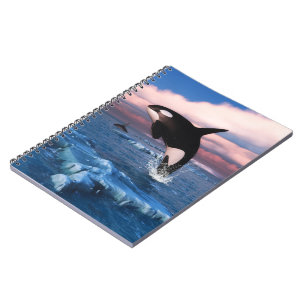Killer Whales In The Arctic Ocean Notebook