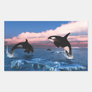 Killer Whales In The Arctic Ocean Sticker
