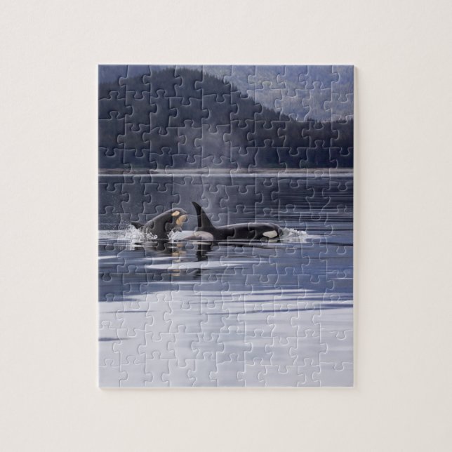 Killer Whales Jigsaw Puzzle (Vertical)