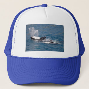 Killer whales on the back trucker hat