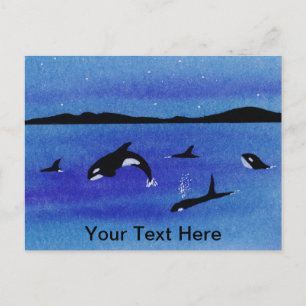 Killer Whales Postcard