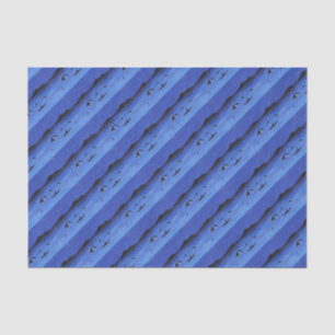 Killer Whales Tissue Paper