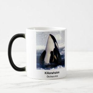 Killerwhale , Orcinus orca Magic Mug