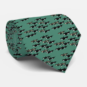 Killerwhale , Orcinus orca Tie