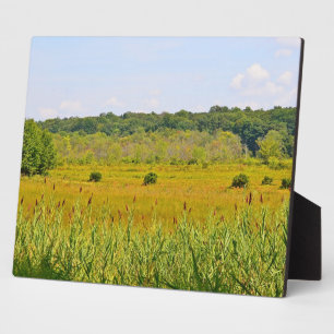Killingworth Cranberry Bog Plaque