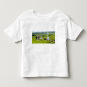 Killkenny, Ireland. The dramatic Spectacle of Toddler T-shirt