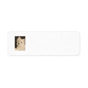 Kiltie the West Highland White Terrier