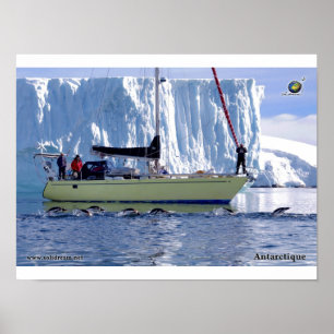 Kim en Antarctique Poster