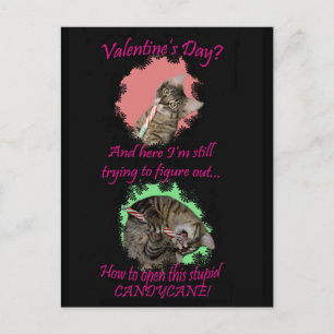 Kimber Candycane Valentine's Postcard