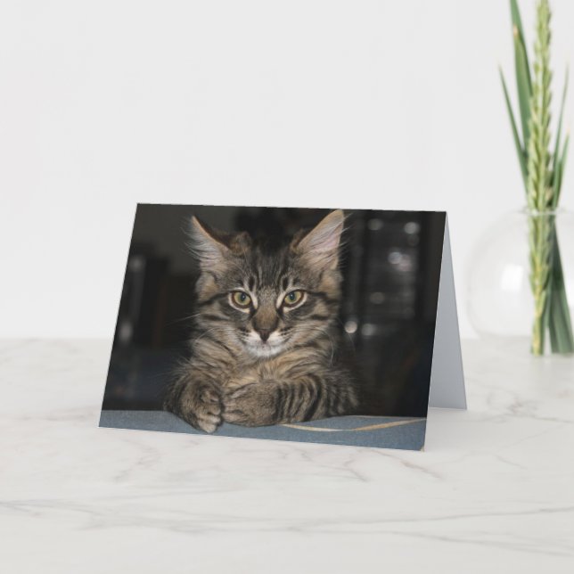 Kimber Cat ne vous brûle pas carte d'anniversaire (Devant)