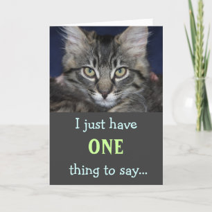 Kimber Cat Thank You Card