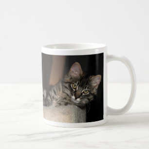 Kimber Chillin' Kitten Mug