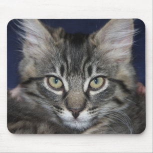 Kimber Handsome Cat Mouse Pad