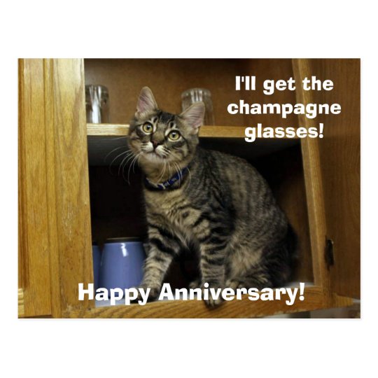 Kimber in the Cupboard Anniversary Postcard