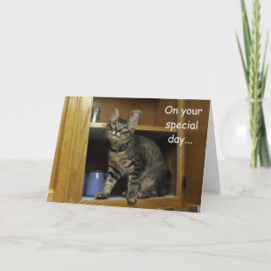 Kimber Kitten in the Cupboard Mother's Day Card