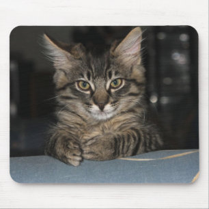 Kimber Kitty's "Oh Really?" Mouspad Mouse Pad