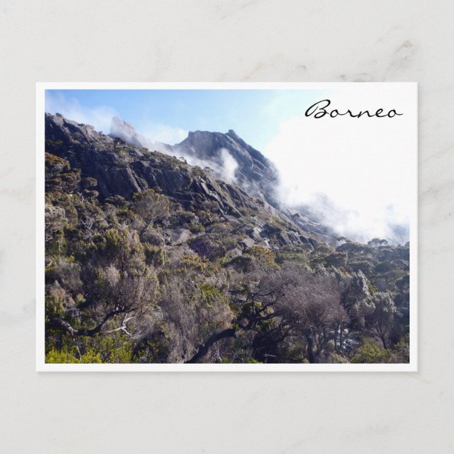 kinabalu borneo nature postcard (Front)