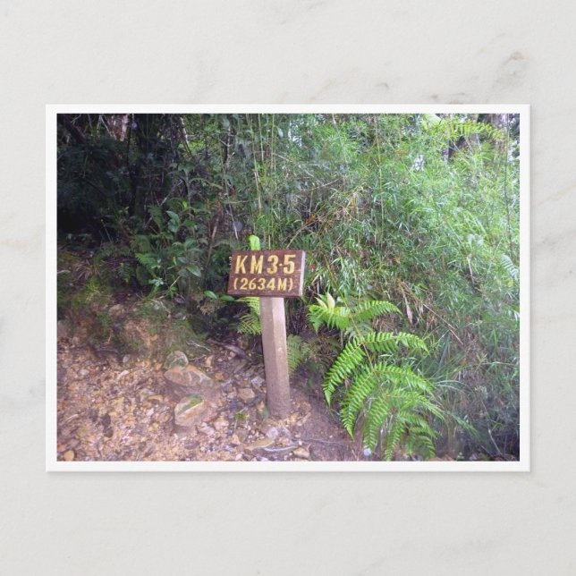 kinabalu km 3.5 postcard (Front)