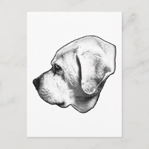 Kind Message Across the Miles Postcard