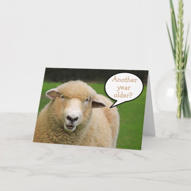 Kind Thoughtful Sheep Birthday Card (Front)