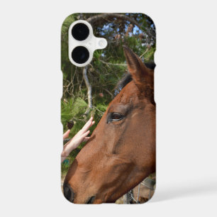 "Kind Touch: Bonding with a Gentle Brown Horse"