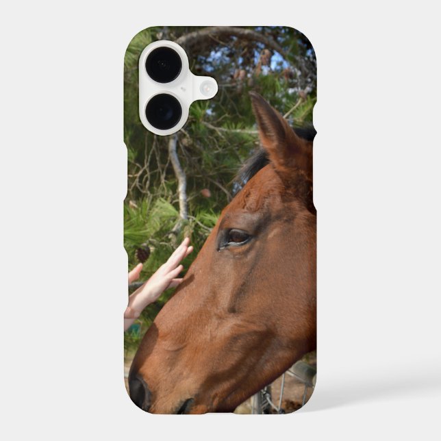 "Kind Touch: Bonding with a Gentle Brown Horse" (Back)