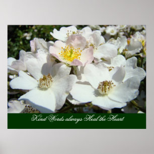 Kind Words always Heal the Heart art prints Roses