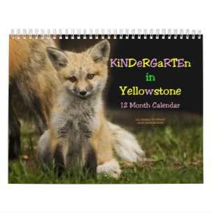 Kindergarten in Yellowstone Calendar