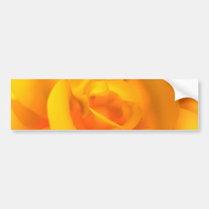 Kindled Rose Bumper Sticker
