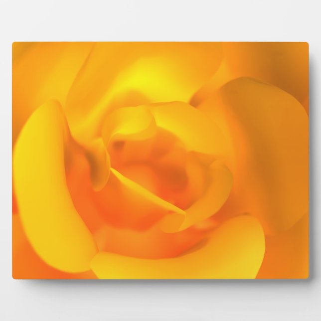 Kindled Rose Photo Plaque (Front)