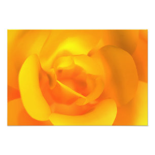 Kindled Rose Photo Print