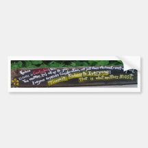 Kindness pulmper bumper sticker