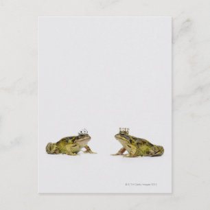 King and Queen frog looking at each other Postcard