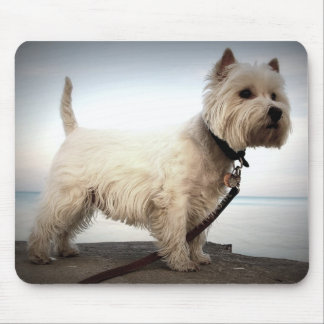 King Barko Mouse Pad