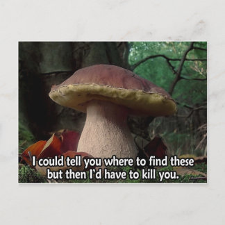 King Bolete - I'd Have to Kill You Postcard
