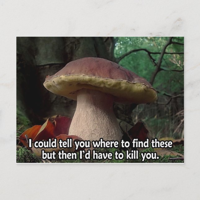 King Bolete - I'd Have to Kill You Postcard (Front)