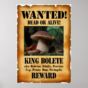 King Bolete - Wanted Dead or Alive Poster