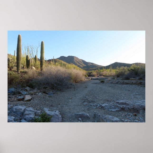 King Canyon Trail I Poster (Front)