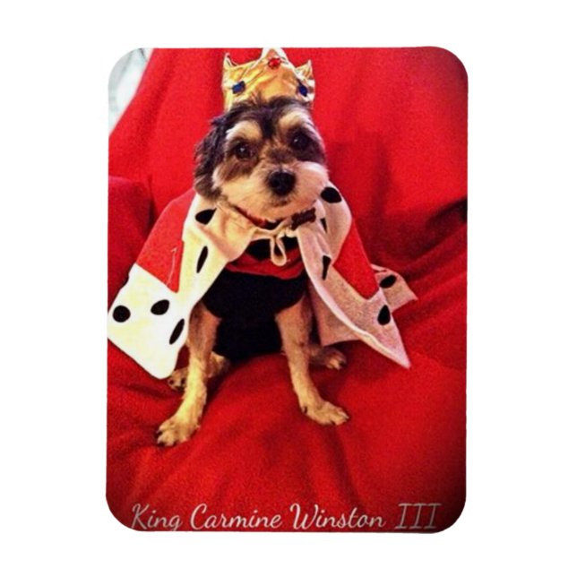 King Carmine Winston III Photo Magnet (Vertical)