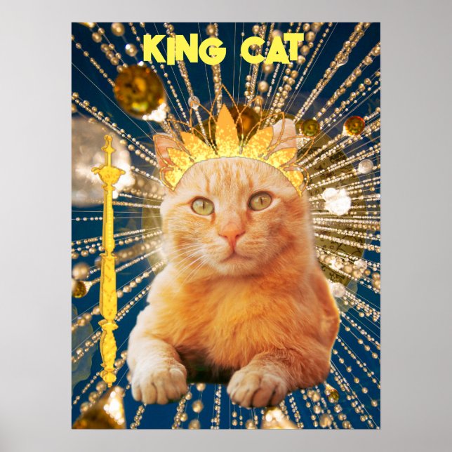  King Cat Funny Poster Pet Vets & Animal Groomers (Front)